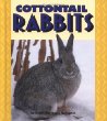 Cottontail rabbits