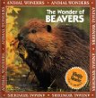 The wonder of beavers