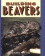 Building beavers