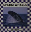 Sperm whales