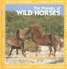 The wonder of wild horses : by Rita Ritchie and Mark Henckel