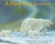 A polar bear journey