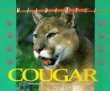 Cougar