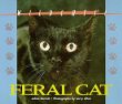 Feral cats