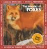 The wonder of foxes