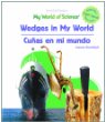 Wedges in my world = Cuñas en mi mundo