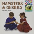 Hamsters and gerbils