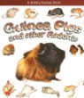 Guinea pigs and other rodents