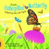 From caterpillar to butterfly : following the life cycle