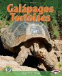 Galapagos tortoises