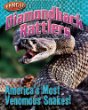 Diamondback rattlers : America's most venomous snakes!