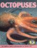 Octopuses