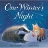 One winter's night