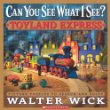 Can you see what I see? : toyland express