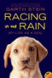 Racing in the rain : my life as a dog : a novel