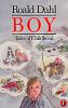 Boy : Roald Dahl : tales of childhood