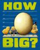 How big? : wacky ways to compare size