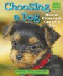 Choosing a dog : how to choose and care for a dog