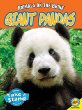 Giant pandas