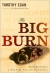 The big burn : Teddy Roosevelt and the fire that saved America