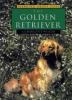 The Golden retriever