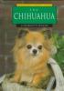 The Chihuahua