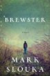 Brewster : a novel