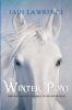 The Winter pony