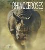 Rhinoceroses