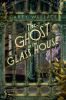 The Ghost in the glass house