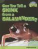 Can you tell a skink from a salamander?