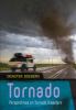 Tornado : perspectives on tornado disasters