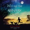 Where the red fern grows