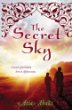 The secret sky : a novel of forbidden love in Afghanistan