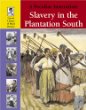 A peculiar institution : slavery in the plantation South