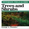 A Field Guide To Trees And Shrubs : northeastern and north-central United States and in southeastern and south-central Canada