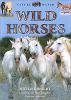 Wild horses