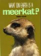 What on earth is a meerkat?