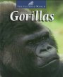 Gorillas