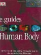 E.guides. Human body /