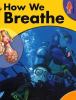 How we breathe