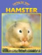 Caring for your hamster