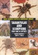 Tarantulas and scorpions