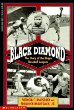 Black diamond : the story of the Negro baseball leagues