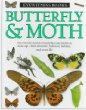 Butterfly & moth