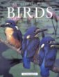 Encyclopedia of birds