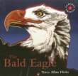 The bald eagle