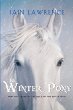 The Winter pony