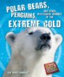 Polar bears, penguins, and other mysterious animals of the extreme cold