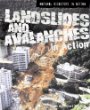 Landslides and avalanches in action